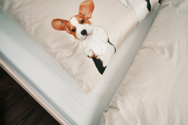 Duvet cover 140x200/220 Beagle Friends incl. pillowcase 60x70