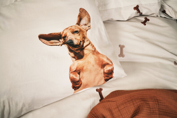 Bettbezug 140x200/220 Dachshund Friends inkl. Kissenbezug 60x70