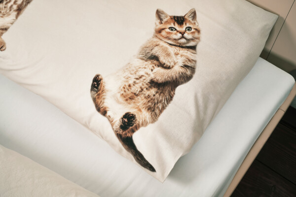Duvet cover 140x200/220 Kitten Friends incl. pillowcase 60x70