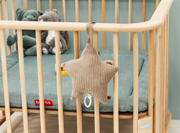 Box Caro incl. wielen Naturel