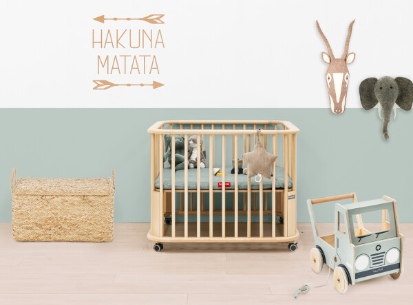 Box Caro incl. wielen Naturel